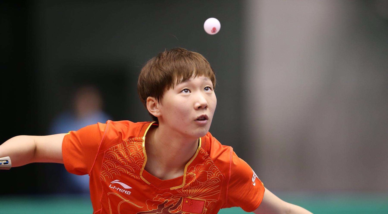 入了信心 入了信心