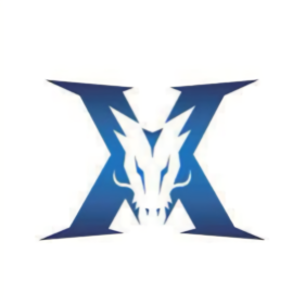 从而影响整 从而影响整